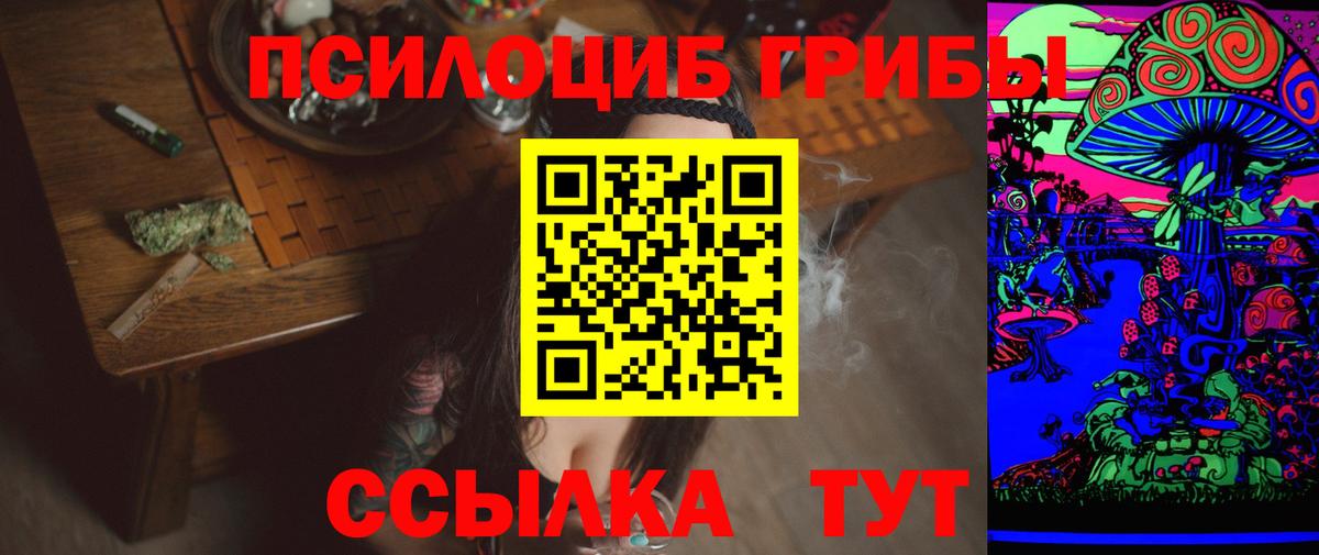 Псилоцибиновые грибы Psilocybine cubensis Тулун